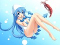 イカちゃん/キグナス
