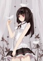 黒猫さん/走失人形