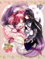 ほむまどにゃん