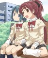 杏さや本の裏表紙です。