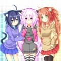 猫　虎　猫/茶葉猫＠多忙