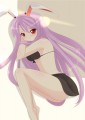 うどんげ達と海に来たんだけど…/ちむんげ