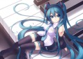 ミクさん/Garuku