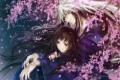 夜櫻/midnight