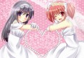 まどほむ結婚おめでとう/あさめ