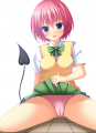 C81　表紙