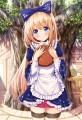 フェアリーズ・インカバー/ショウタロウ