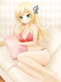 世界一のお嬢様/nikoo
