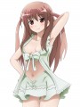 のどっちの服を着せてみた/豆柴