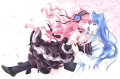 猫日和/Miyu