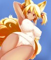 11尾の狐/ホロホロ