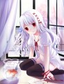 金魚のいる窓辺/ななみ