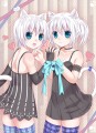 姉妹猫/月野　ネル（コミティア原稿中）