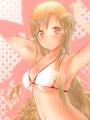 アスナが可愛過ぎて困る/けっふぃー