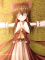 博麗の巫女/はとむら