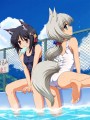 水狐さん！/しらニョロ