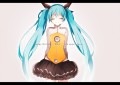 8/31/たま