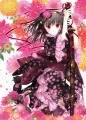 花火ダリア/和花