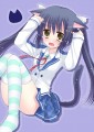 サラネコ/まな