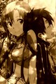 アスナとキリト/燦闇夜月
