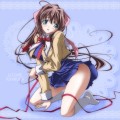 オトメサン/キクチ
