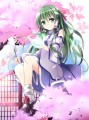 風の神を祀る巫女様/miya