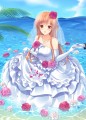 楽園の花嫁/みつ