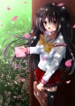 桜の木の下で・・・。/トシ