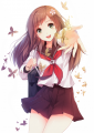 花蝶風葉/KD