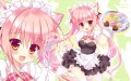 ねこカフェ☆壁紙/あめとゆき@3日目東シ39b