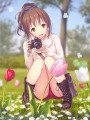 ファインダーの中の春