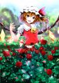 薔薇
