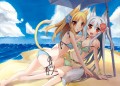 Summer beach side
