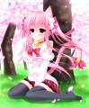 春のひととき