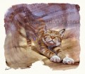 猫／あ〜〜良く寝たな〜〜。