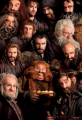 Company of Thorin Oakenshield