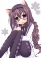 ねこみみほむほむ