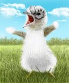 激おこぷんぷん鳥　模写