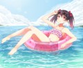 矢澤のにこにー！！