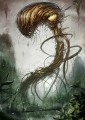 【PFFK】森の大賢者【モンスター】
