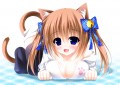 手乗り猫娘