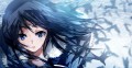 蒼い鳥