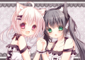 けもみみちゃん　♥