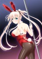 ウサギさんにはお手をふれないでください(ˇeˇ)
