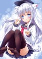 にゃんぱすー
