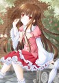 【東方三種合同企画】お出掛け姫様【花鳥風月】