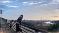 世界のどこかで