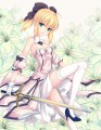 セイバー・リリィ