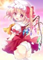 フランちゃんの日