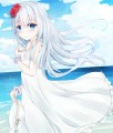 夏まっ盛り
